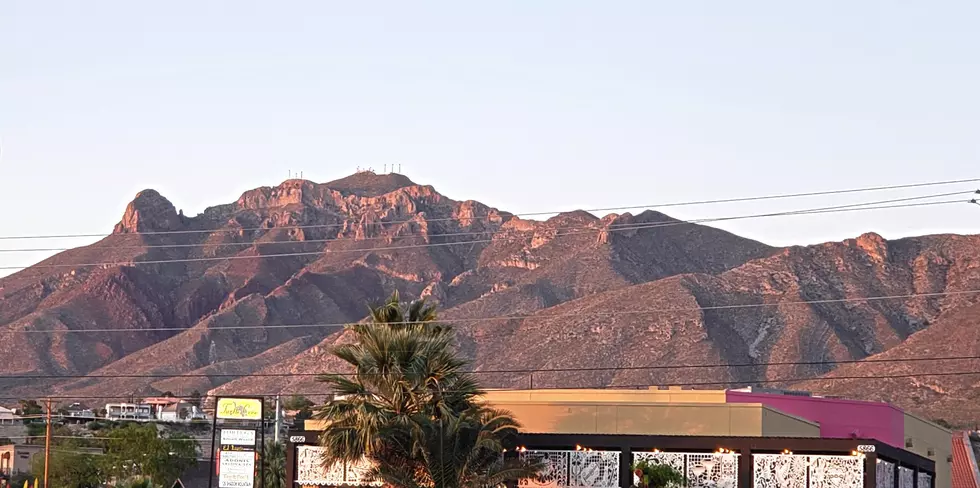 Spot McGruff The Crime Dog On The Franklin Mountains