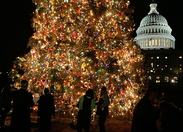 Capitol Christmas Tree Asking For Handmade New Mexico Ornaments