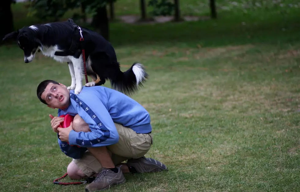 If You Talk To Your Dog, Science Says You&#8217;re Smart