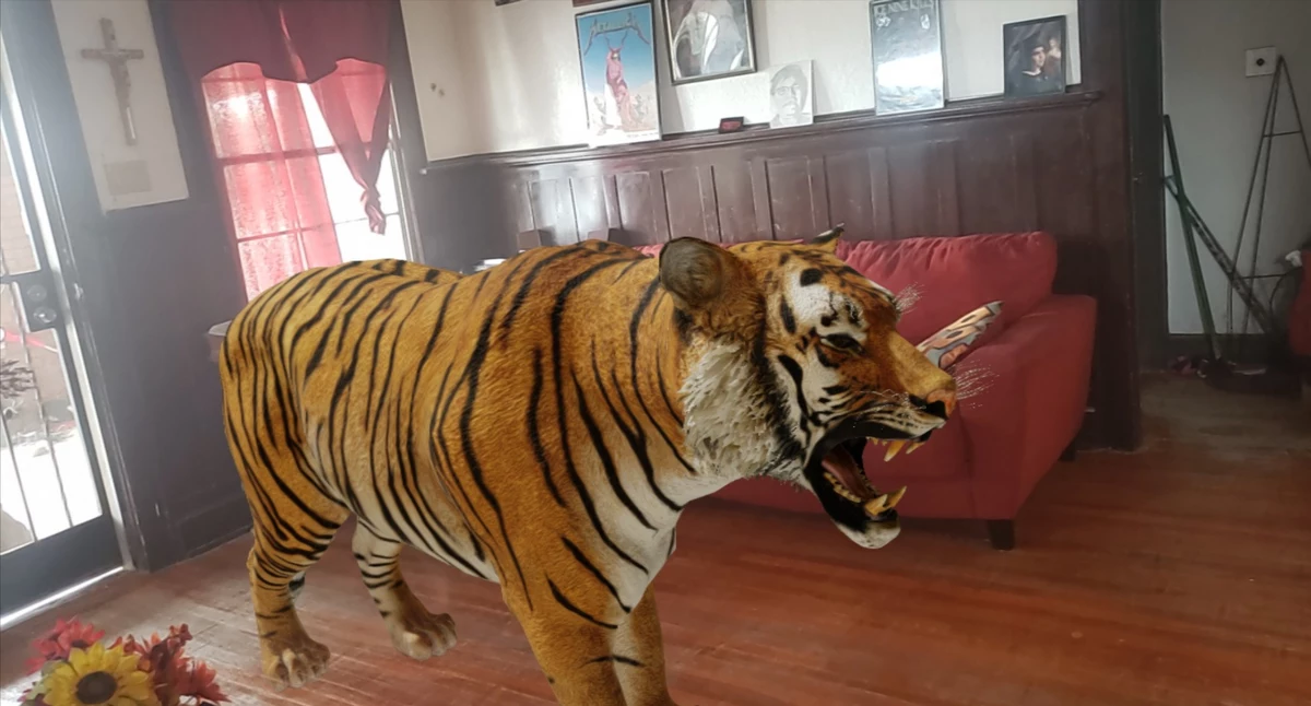 AR Google Feature Will Bring Exotic Animals To You