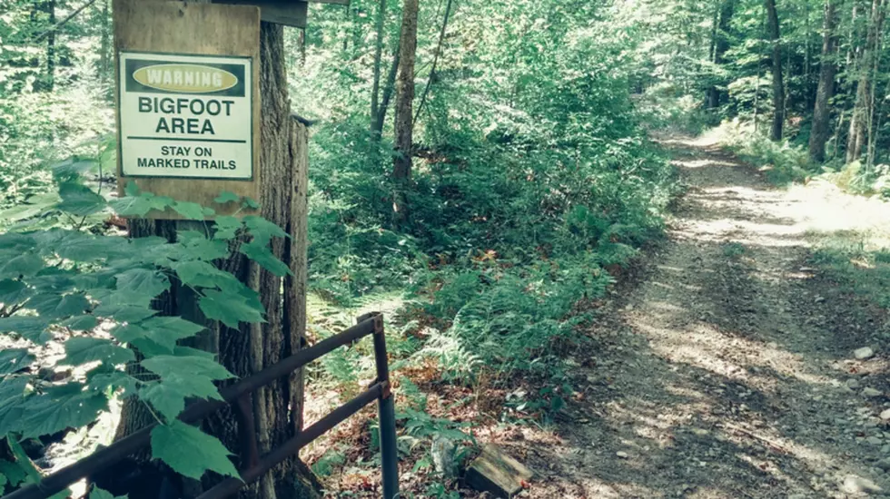 Is It Legal To Hunt Bigfoot In Texas?