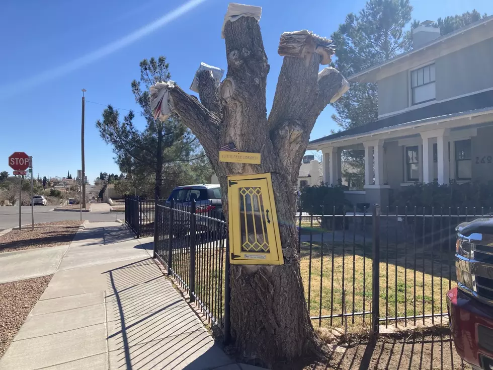 El Paso Readers Can Enjoy Swapping Books With Little Free Library