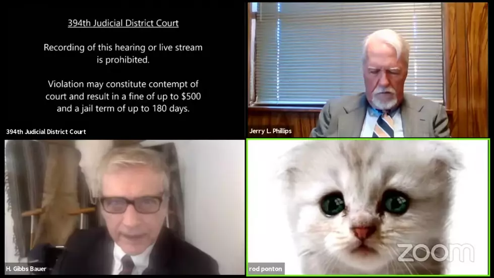Texas Attorney Mistakenly Leaves Cat Filter on During Zoom Call