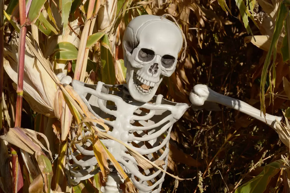 Man Builds Guitar Using Uncle's Skeleton