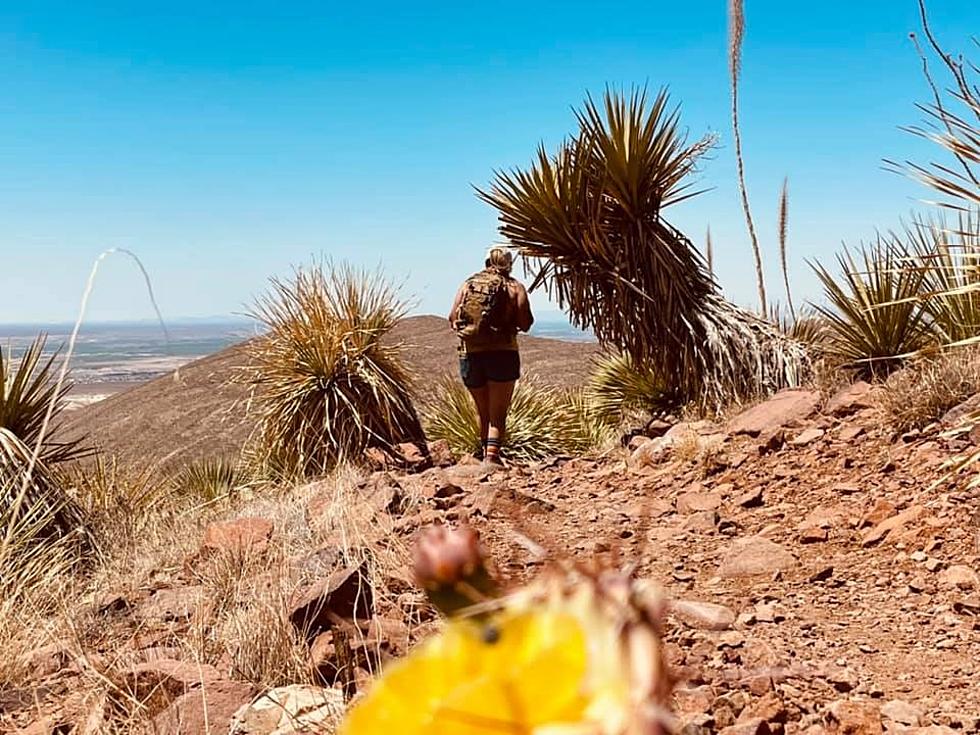 The Perfect Borderland Hikes Easy Enough For Beginners to Enjoy