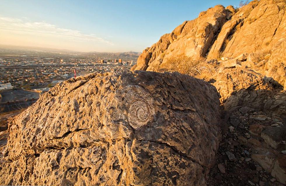 EP Native Captured a Stunning Photo of a Fossil on Scenic Drive