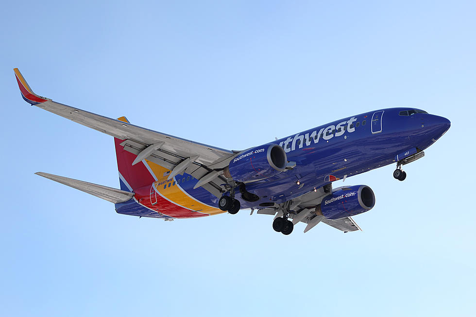 Buzz&#8217;s Pandemic Trip II: No Booze on Southwest