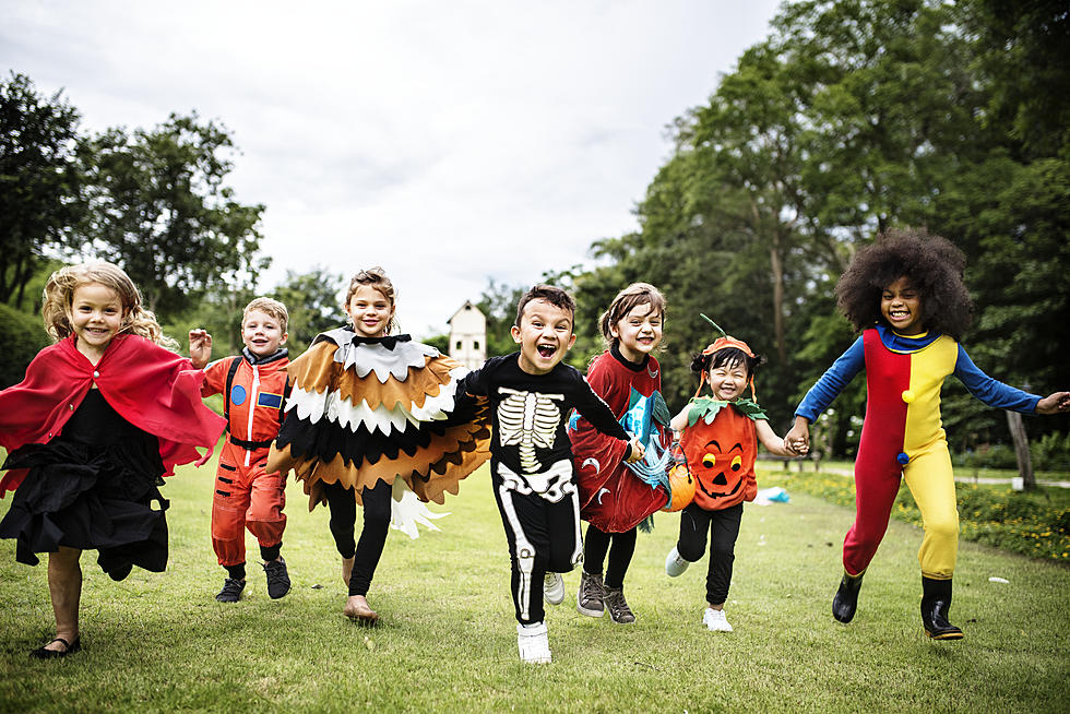 Friendly Frights for the Family at Boo at the Zoo Next Weekend