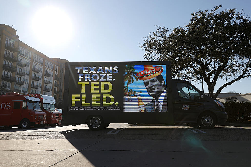 Justice for Snowflake! Texan Wins Best Costume with His Rendition of Cruz