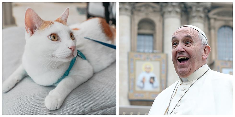 The Pope Says You’re Selfish...If You Have “Fur-Babies.” Agree?