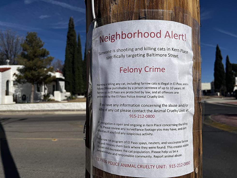 Signs Warn Kern Place Neighbors Of Potential Cat Killer
