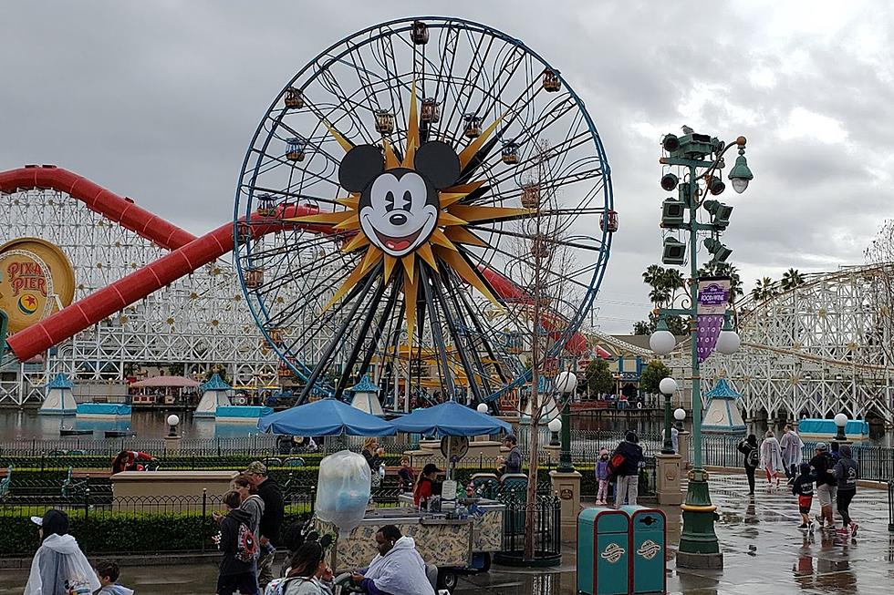 Disney Parks 2020 Mickey Mouse & Friends 4 Inch Disneyland Shot Glass