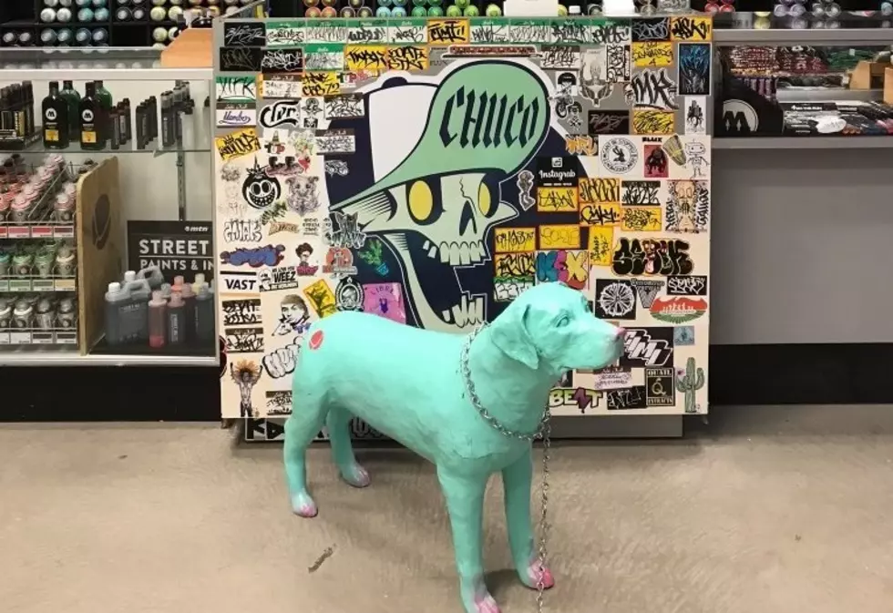 Help This El Paso Downtown Shop Find Their Bright Blue Dog Rufus