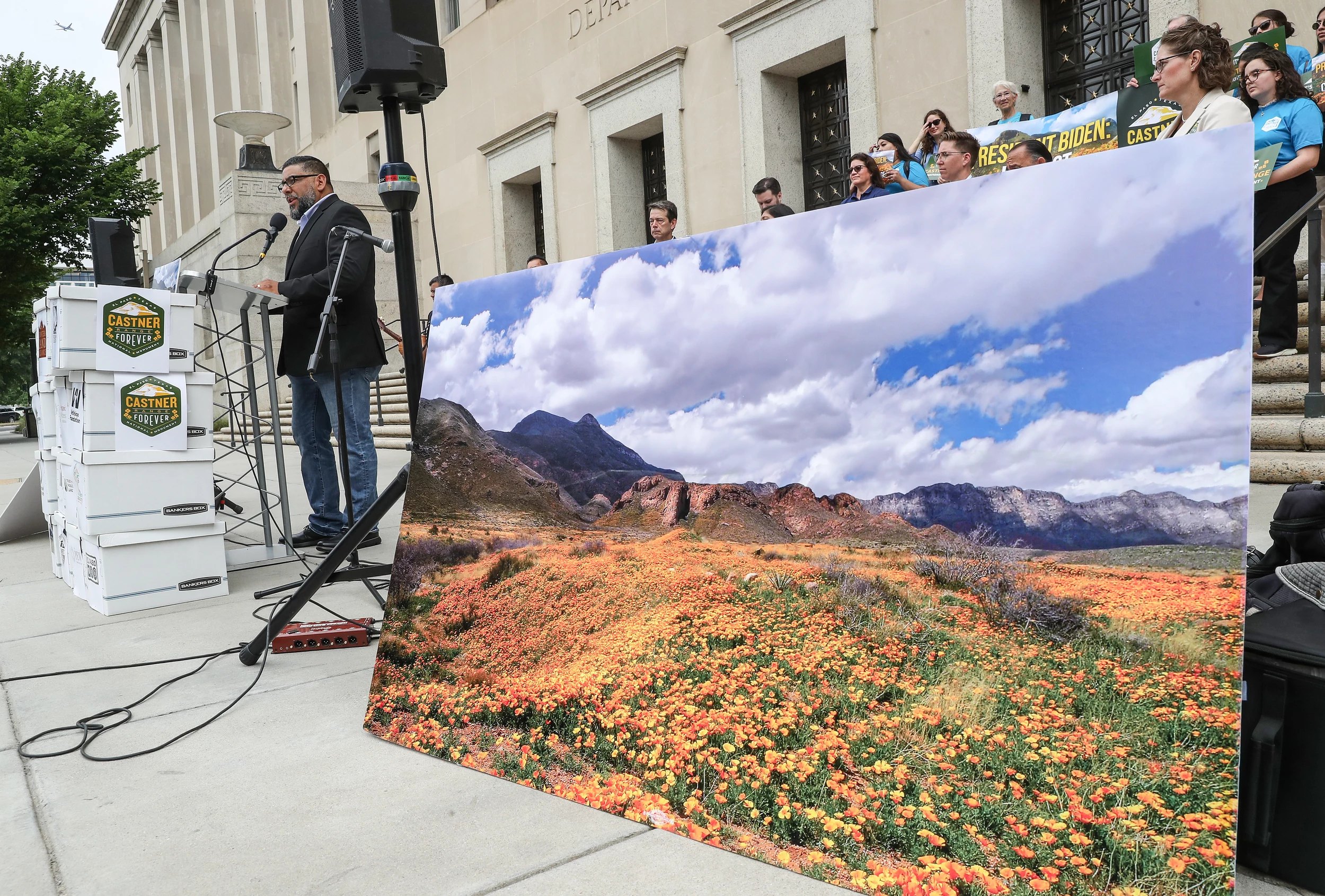 Northeast El Paso Is Poppin' with Poppies [PHOTOS]
