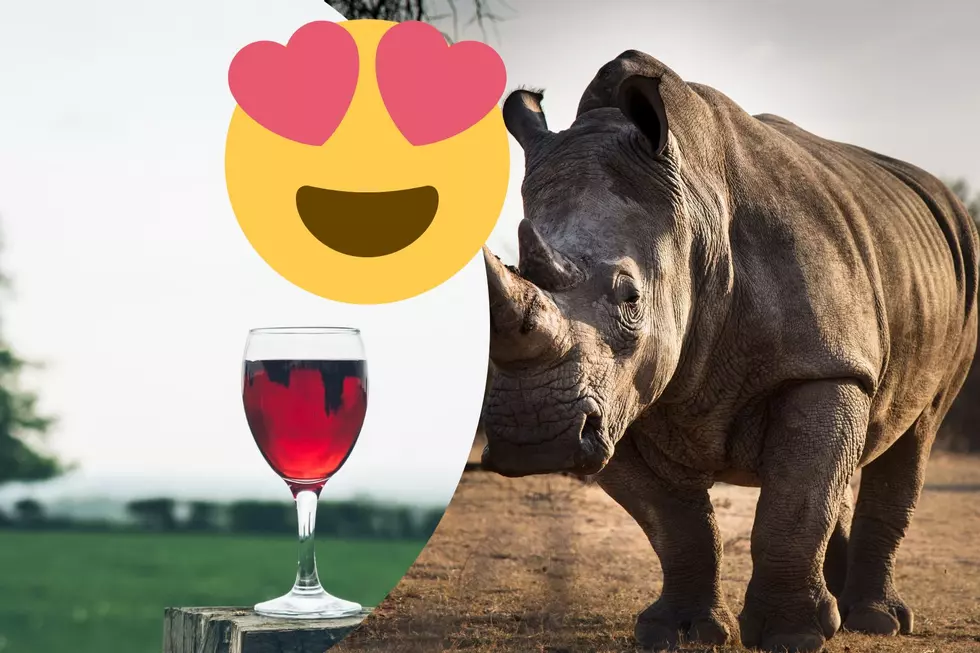 Wine Sipping Near a Rhino In Texas Sounds Like the Ultimate Trip