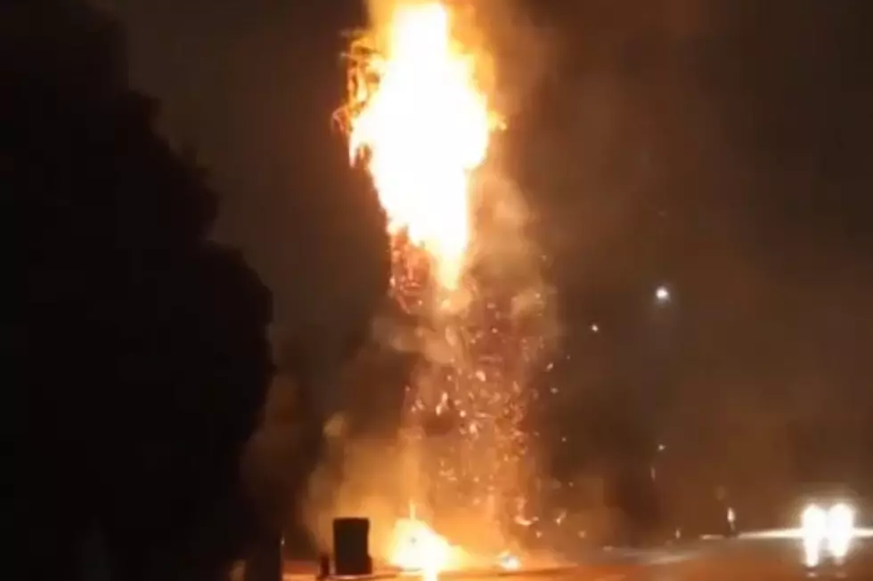 Video: Palm Tree Struck By Lightning Causes Fire In East El Paso