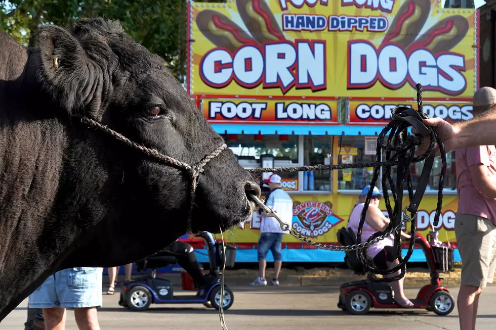 New Food at the Texas State Fair 