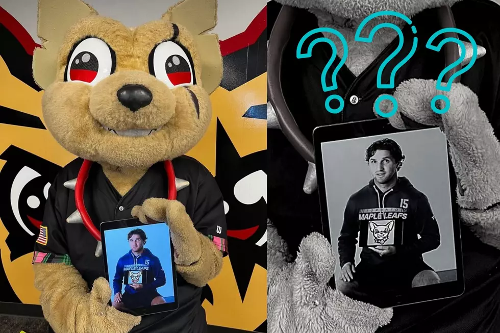 Who Is The Guy Chico The Chihuahua Is Holding A Photo Of?