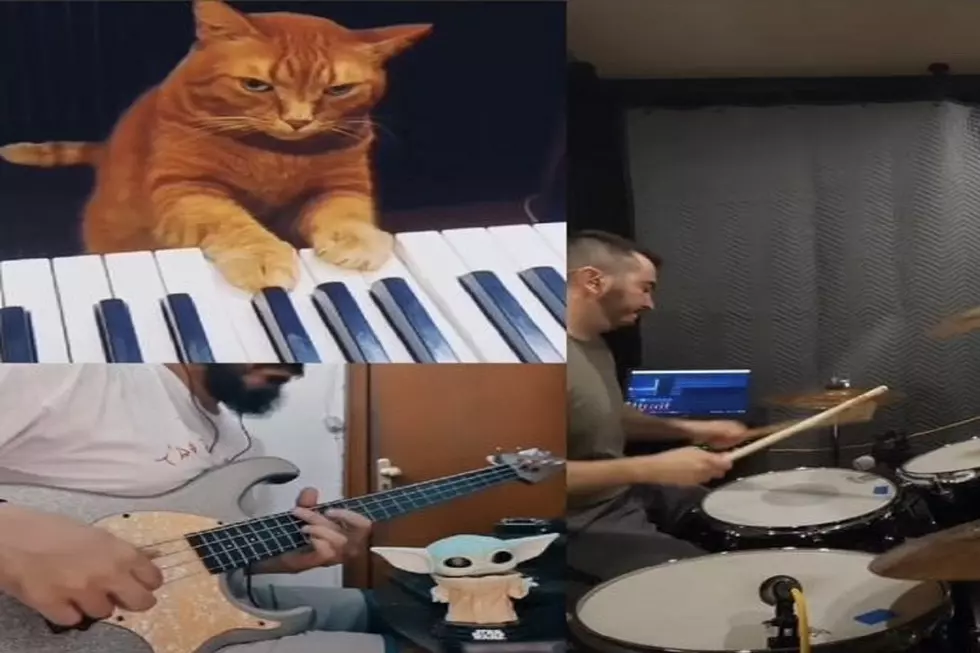 Famous Musicians &#038; Popstars Love This El Paso Cat Music Video