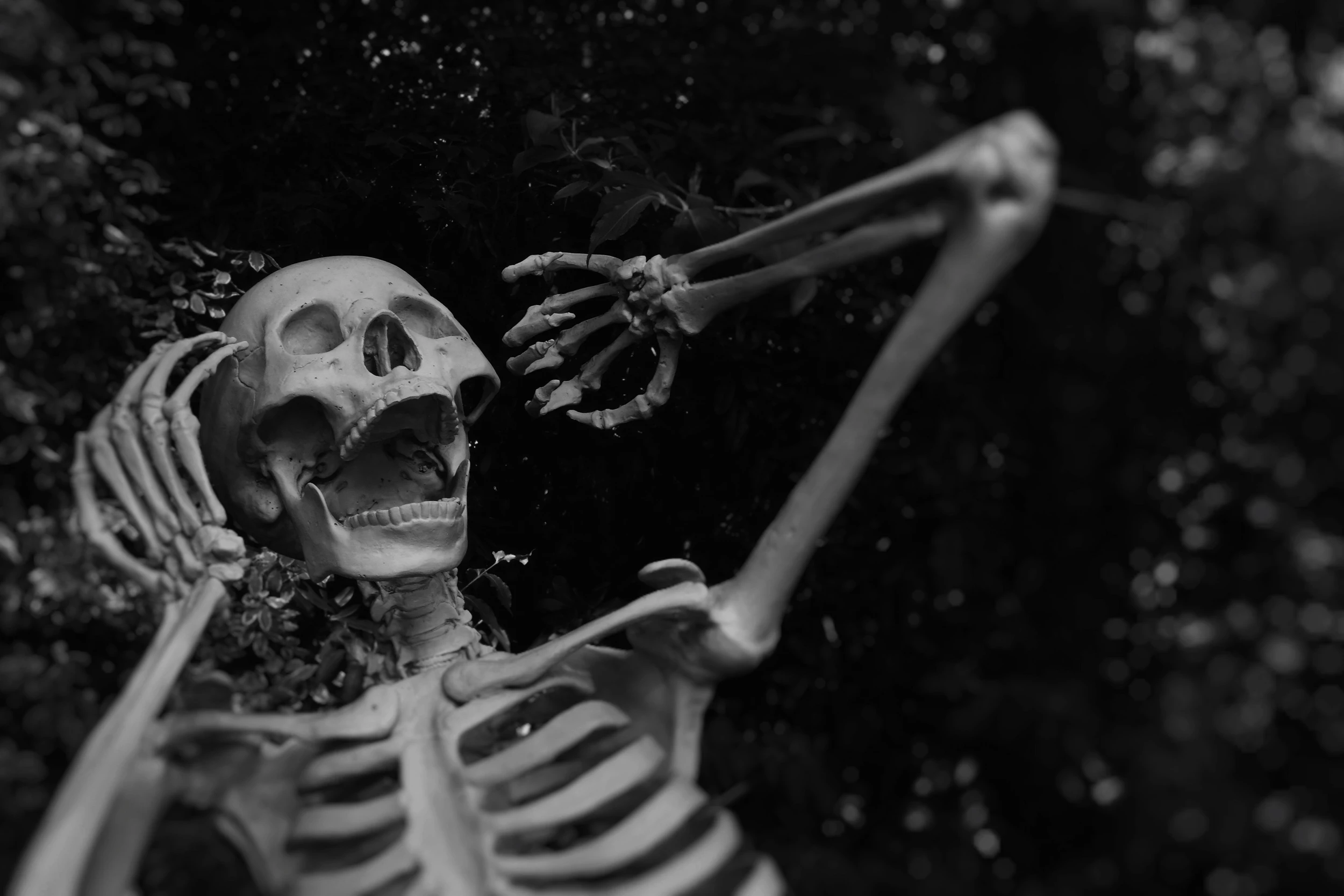 Utah Grizzlies celebrate Halloween in skeleton style —