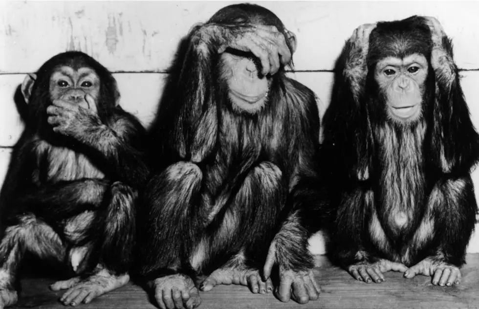 Three Wise Monkeys