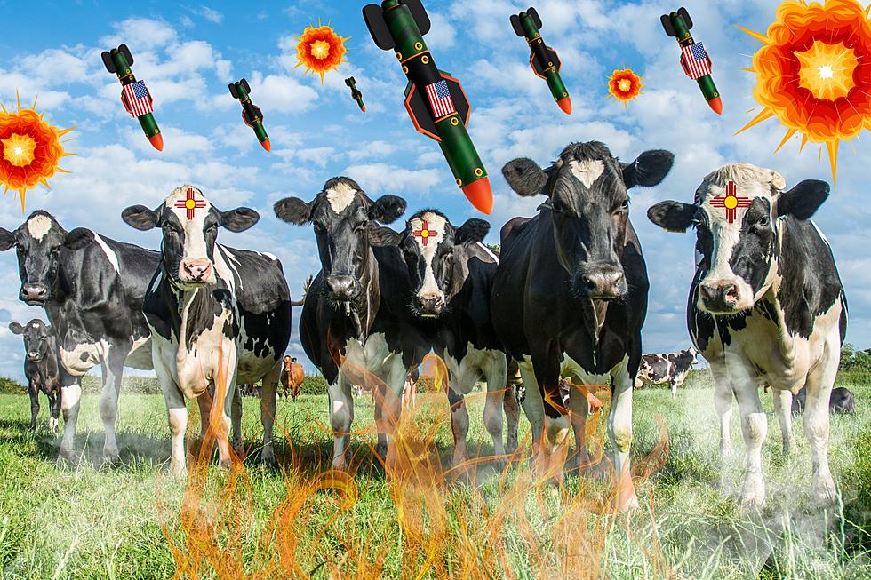 Feds Prepare to Rain HELL from Above on New Mexico COWS