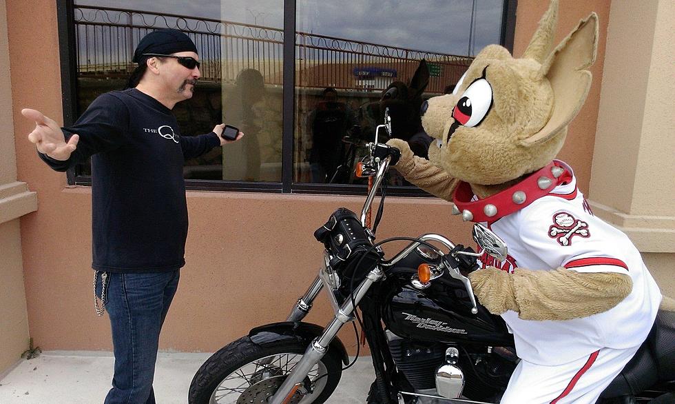 Wow-It&#8217;s The El Paso Chihuahuas 10th Season. See How It Started