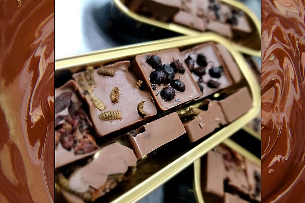 Try Not to Puke As Texas Taco Shop Serves Up Chocolate Bugs