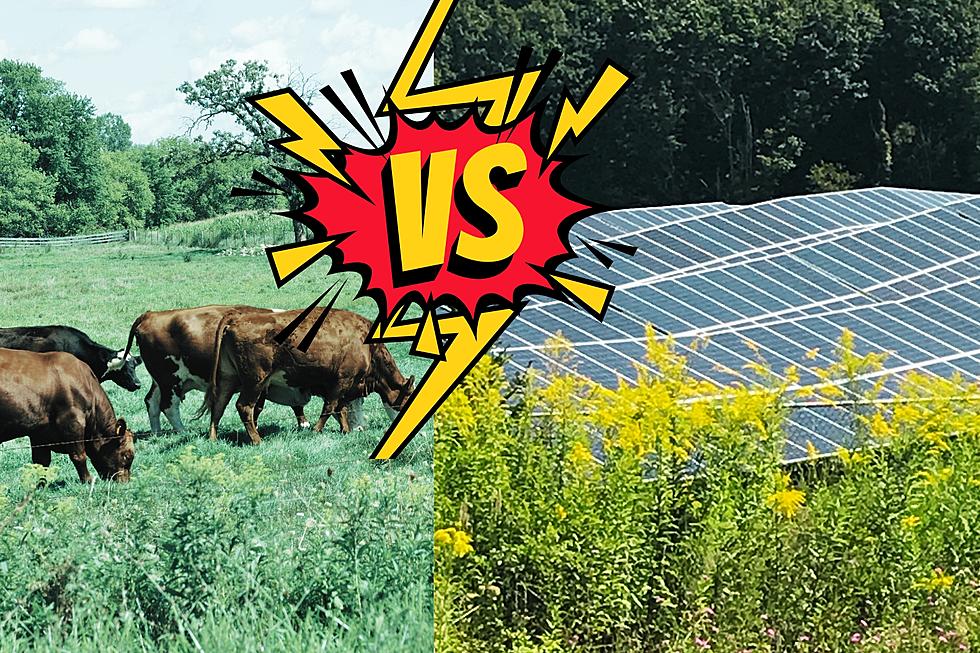 Battle Brews in Texas as Locals Challenge Solar Power&#8217;s Green Card