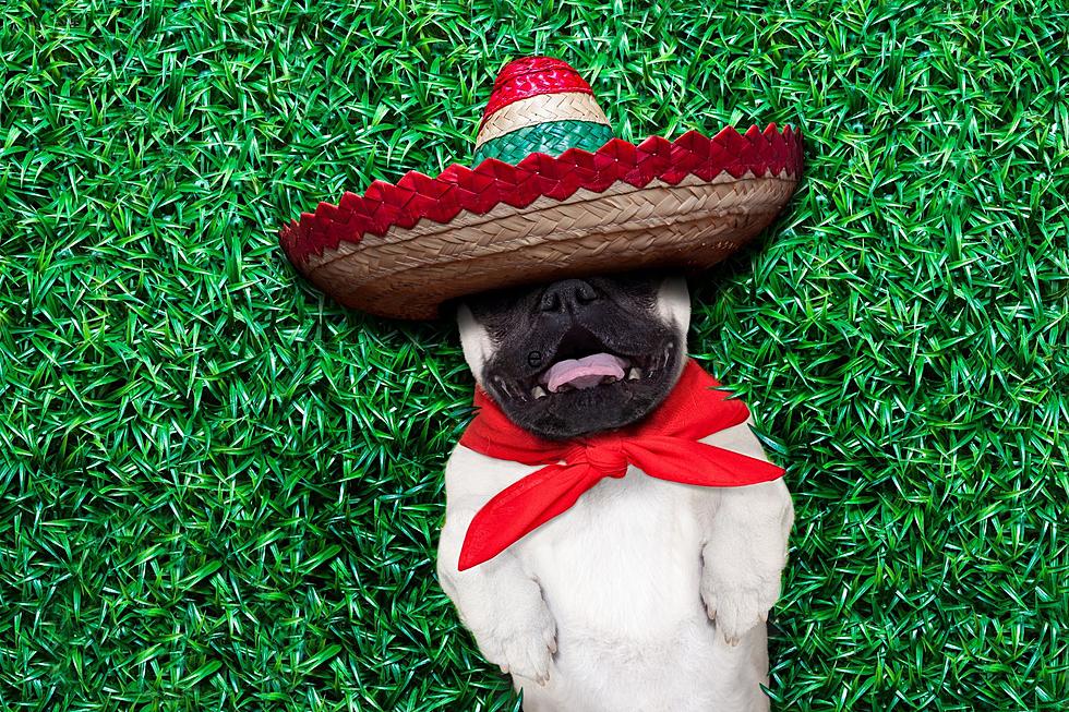 10 Cinco de Mayo Stereotypes: NOT Mexican Culture &#038; Traditions