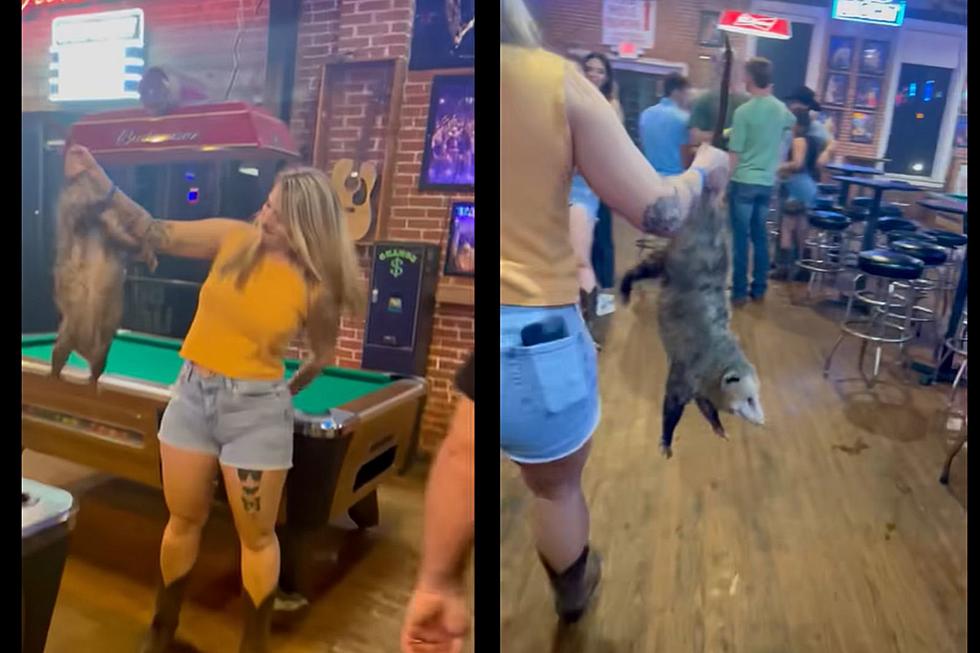 Watch a Hottie Wrangle A Possum Straight Out Of a Texas Country Bar