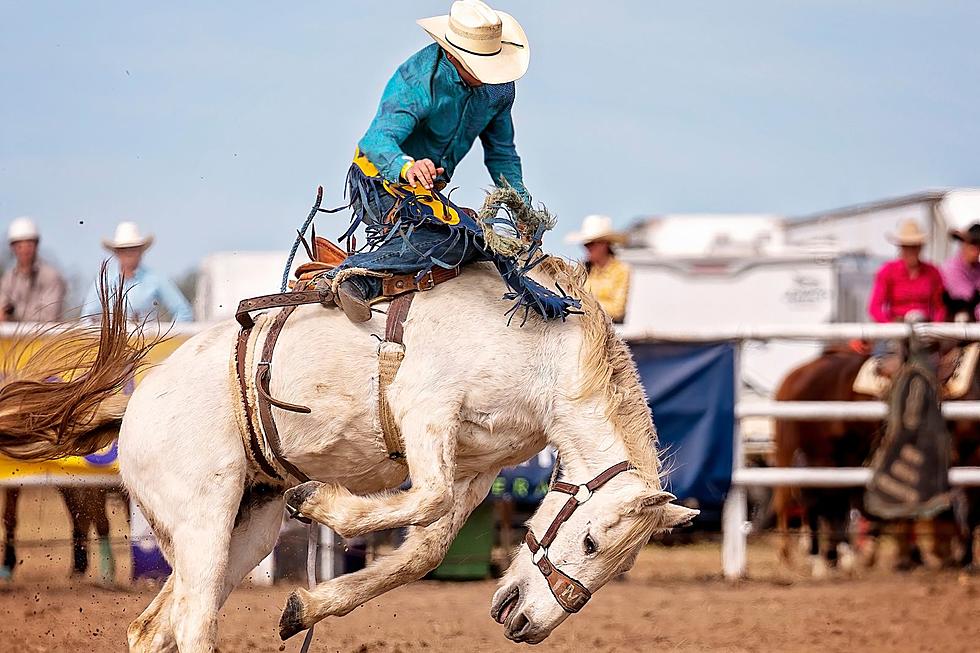 Master These Popular Rodeo Phrases Before Your First Texas Ride