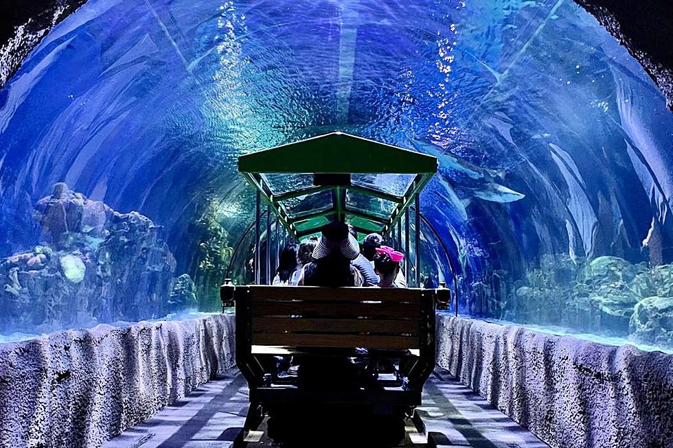 Underwater Train Ride in Texas Brings You Face to Face with Sharks