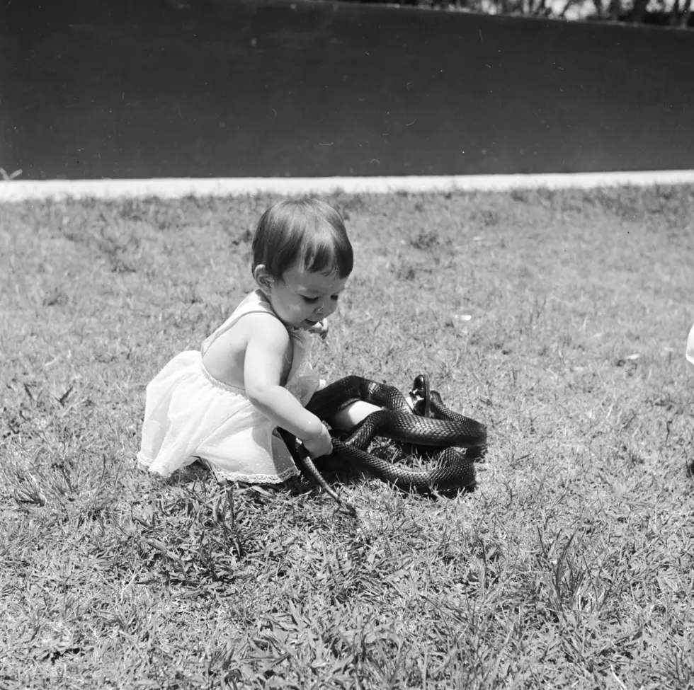 Baby And Snake