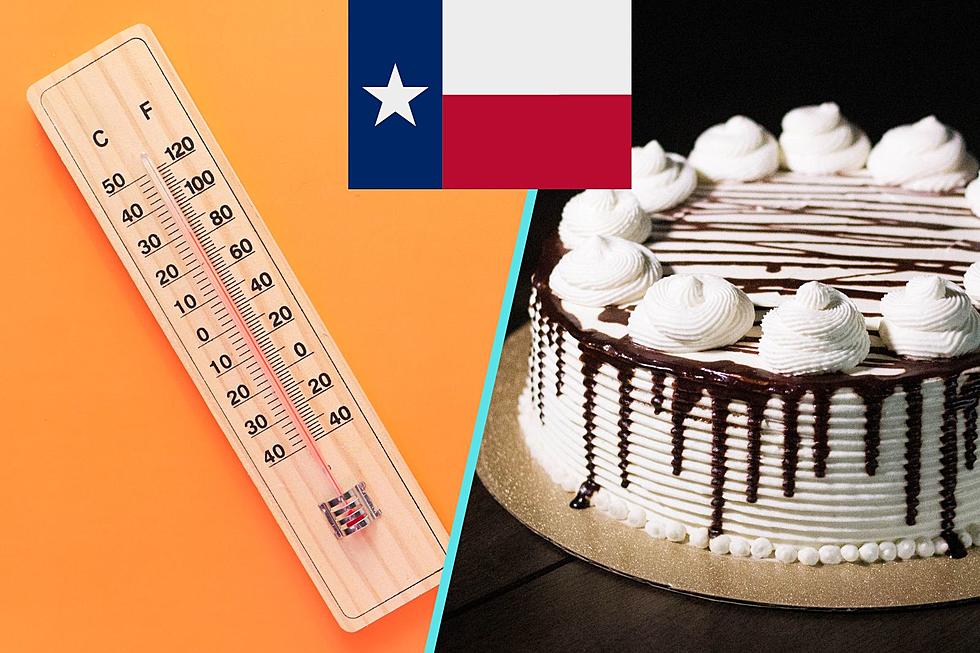 H-E-B Cake Reveals Texans True Feelings About the Heat