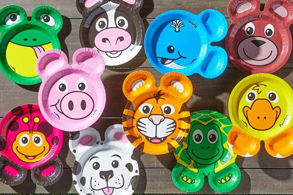 Hefty Revives the Iconic Zoo Pals Plates