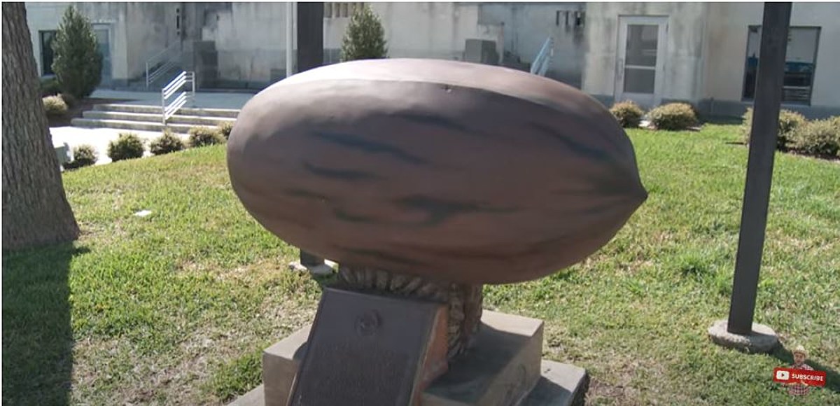 Texas Has Two Of The World's Largest Pecans - One Rolls