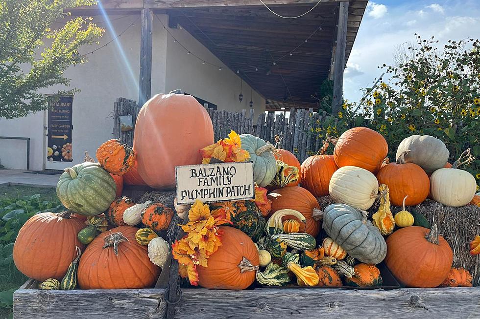 Need a Fall Trip Outside of El Paso? Check Out this Pumpkin Patch