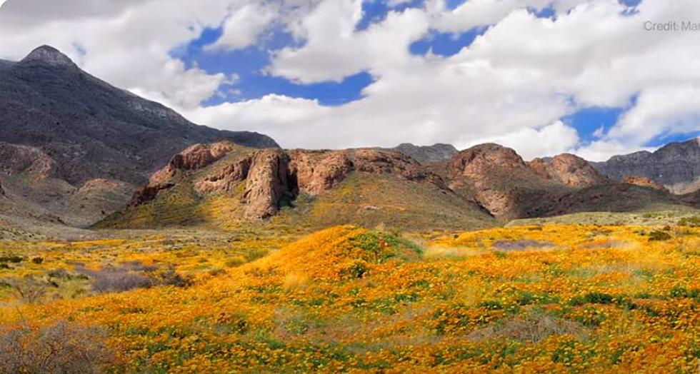 Now That Castner Range Is Finally A National Monument – What Now?