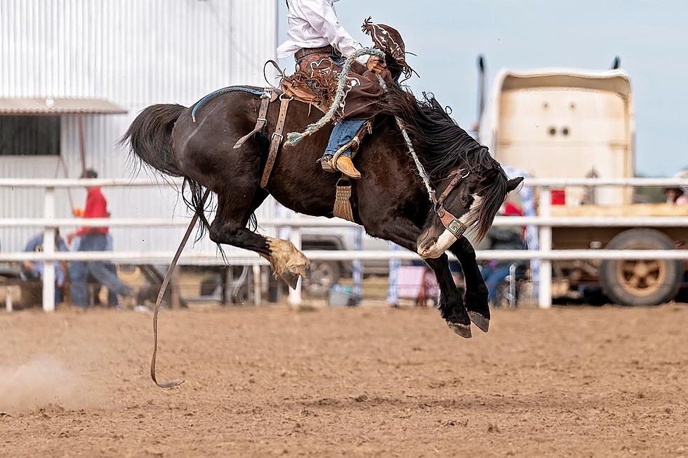 Bronco Rider Killed During Texas Rodeo