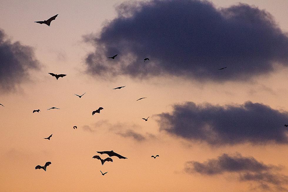 One Texas City Has Been Deemed Perfect for Vampires