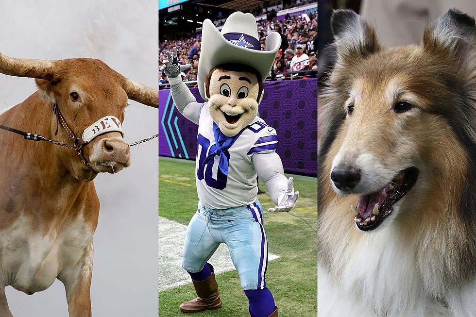 The Most Popular &#038; Unpopular Football Mascots in Texas
