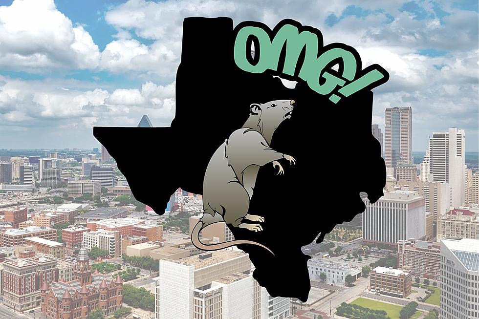 These Two Texas Cities Have a Huge Rat Problem
