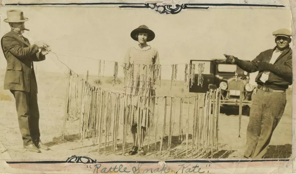 City of Greeley Museums, Permanent Collection