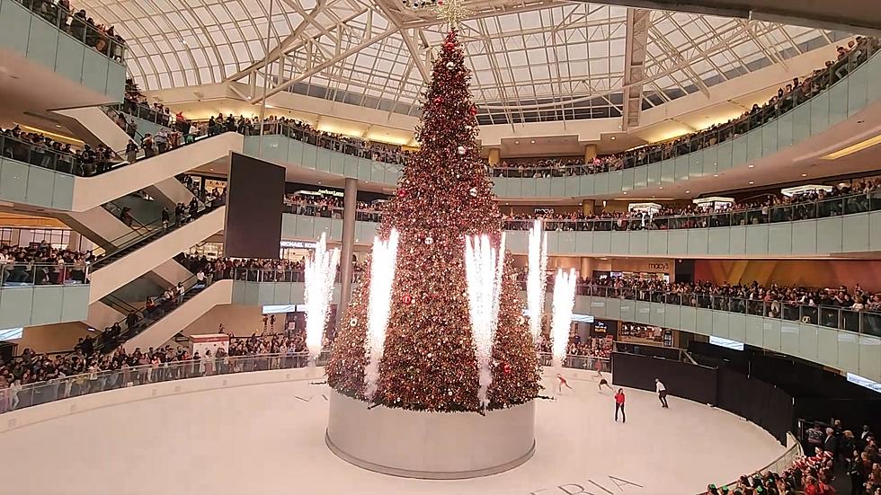The Largest Indoor Christmas Tree in the U.S. Belongs to Texas