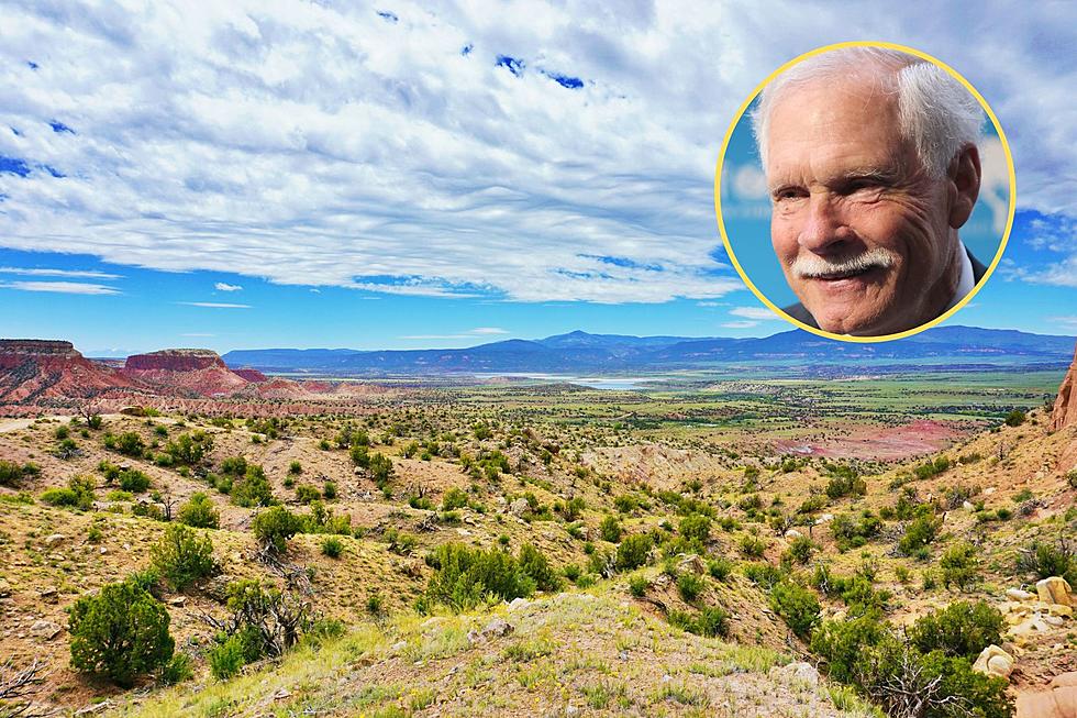 Can You Guess Who Owns the Most Land in New Mexico?