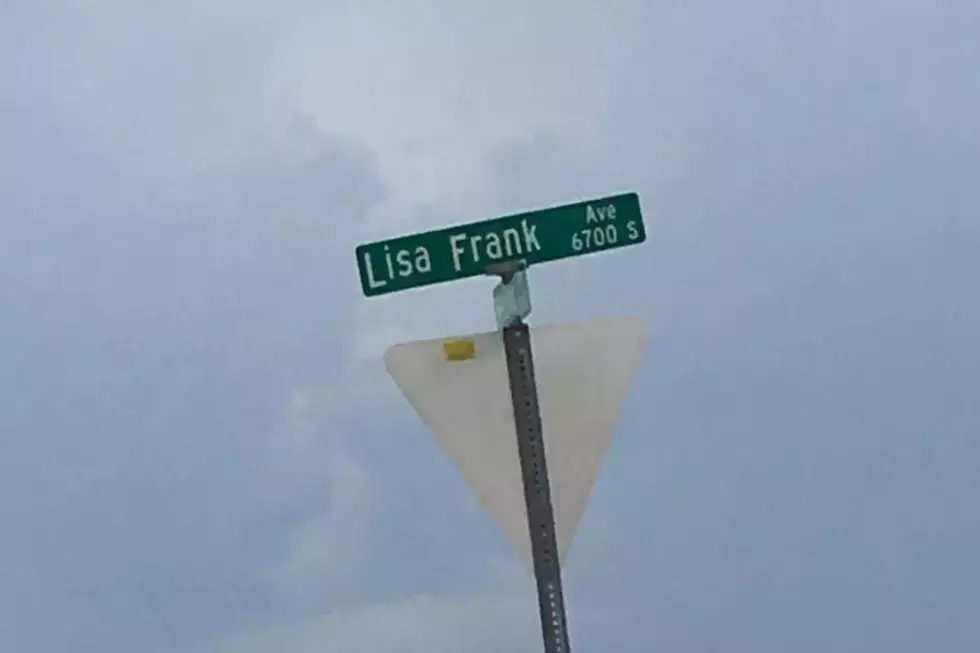 Lisa Frank Ave in Arizona