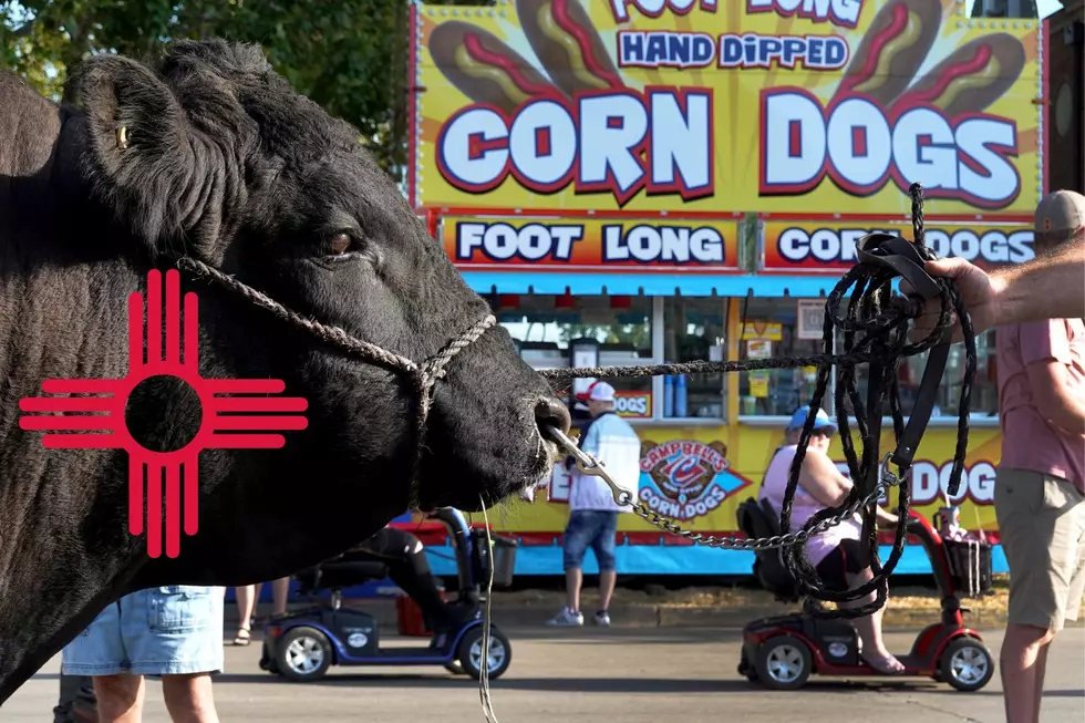 Guess Who’s Playing The 2024 New Mexico State Fair?