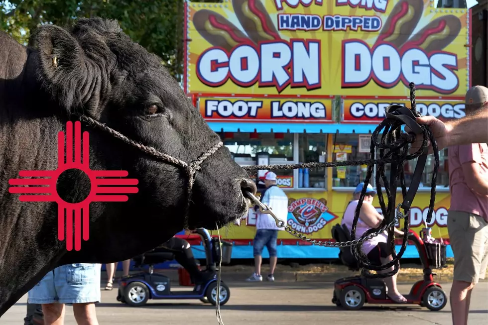 Guess Who&#8217;s Playing The 2024 New Mexico State Fair?