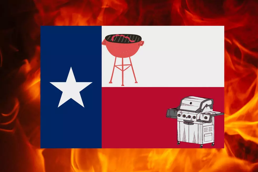 Electric BBQ Grills Mandatory In Texas – Think It Could Happen?